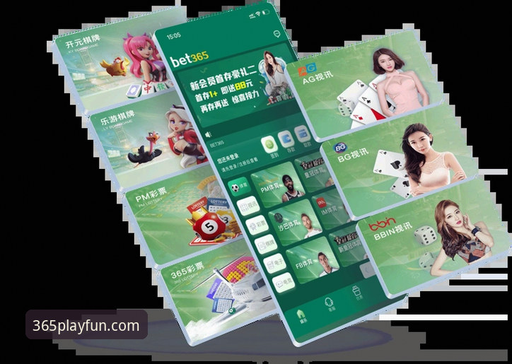 深度揭秘：bet365官方入口哪个好？资深分析师亲测三大版本的真相